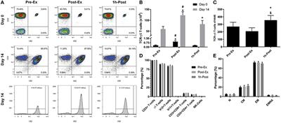 Systemic β-Adrenergic Receptor Activation Augments the ex vivo Expansion and Anti-Tumor Activity of Vγ9Vδ2 T-Cells